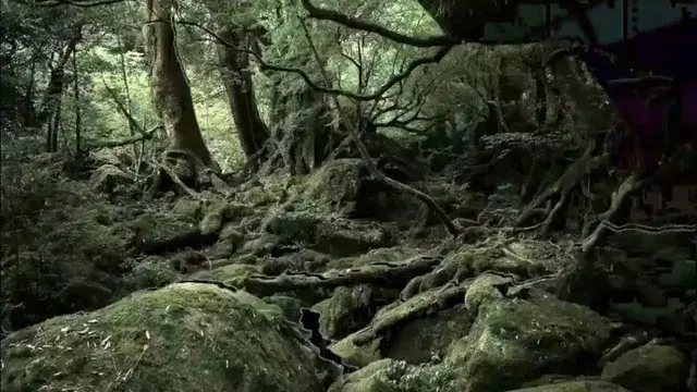 Finally Made A Psychedelic Replication. Enjoy!