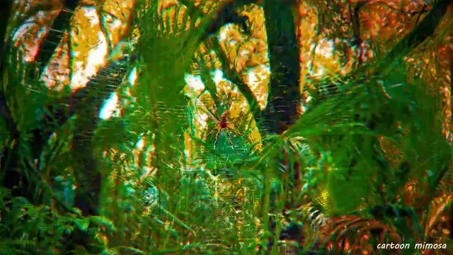 spider (lsd oev)
