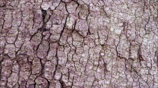 Acidified Tree