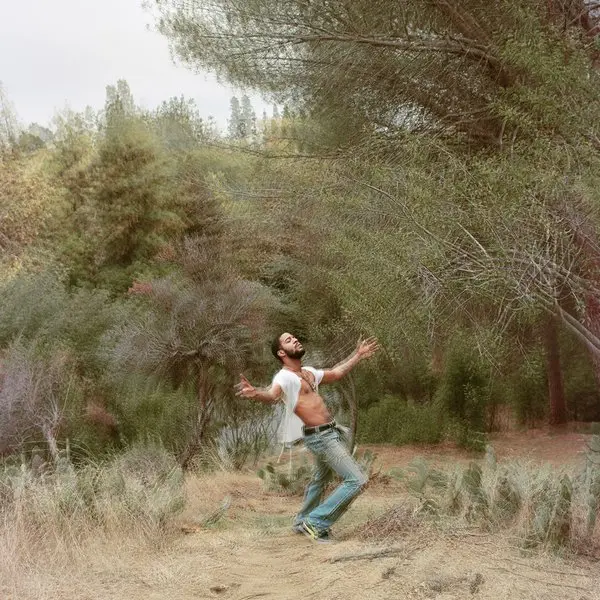 LSD inspired Kid Cudi album art