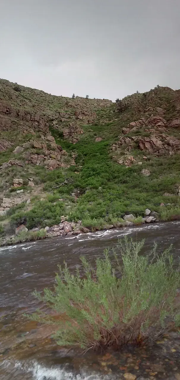Poudre Canyon, CO - 0ug