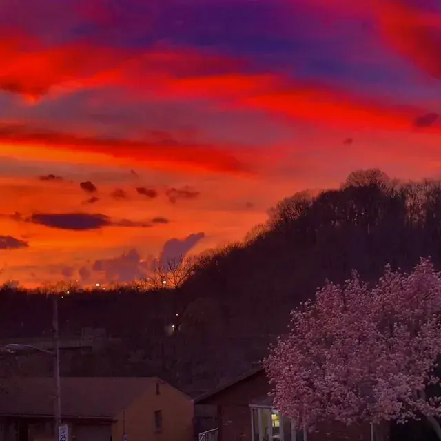 Psilocybin Sunsets