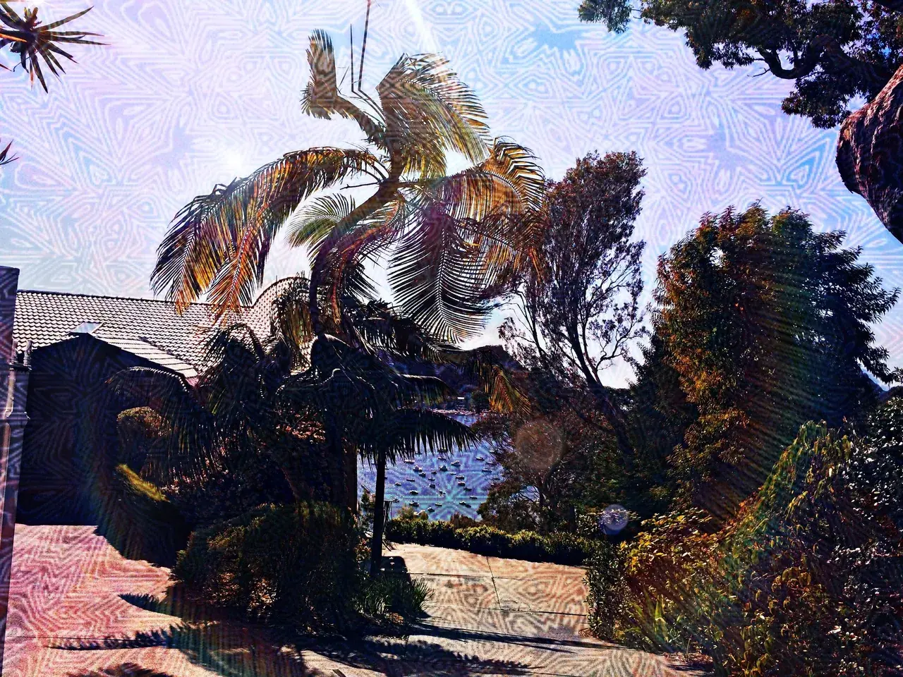 200ug of LSD