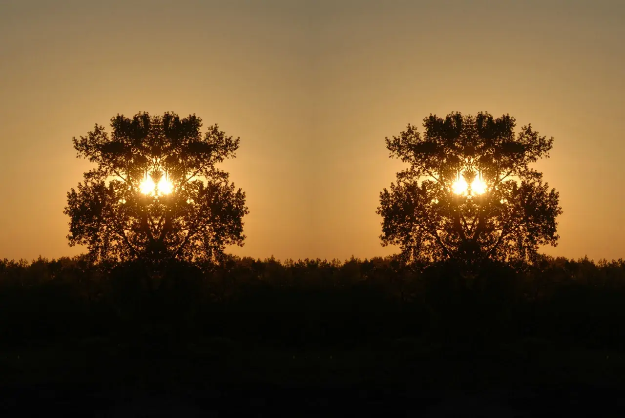 Eternal Sun(s)