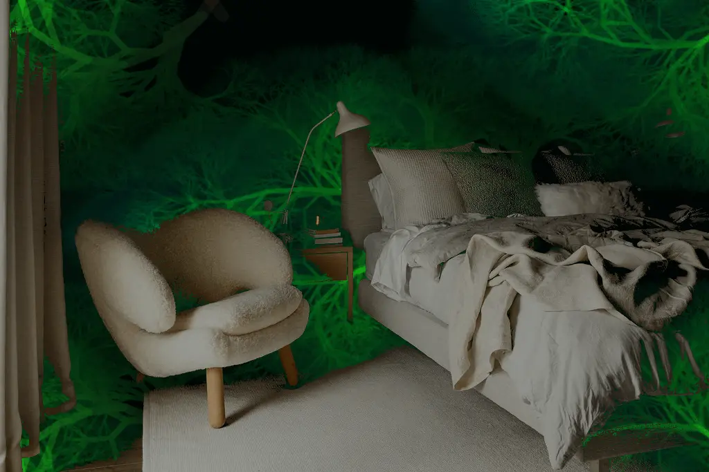 Lucid Dreaming Experience