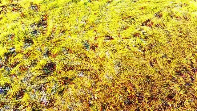 Streetside v2 (Psychedelic trip replication)