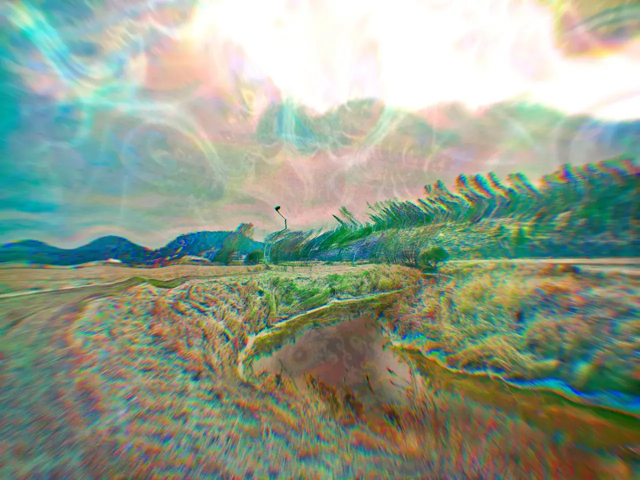 Strong dose of LSD replication