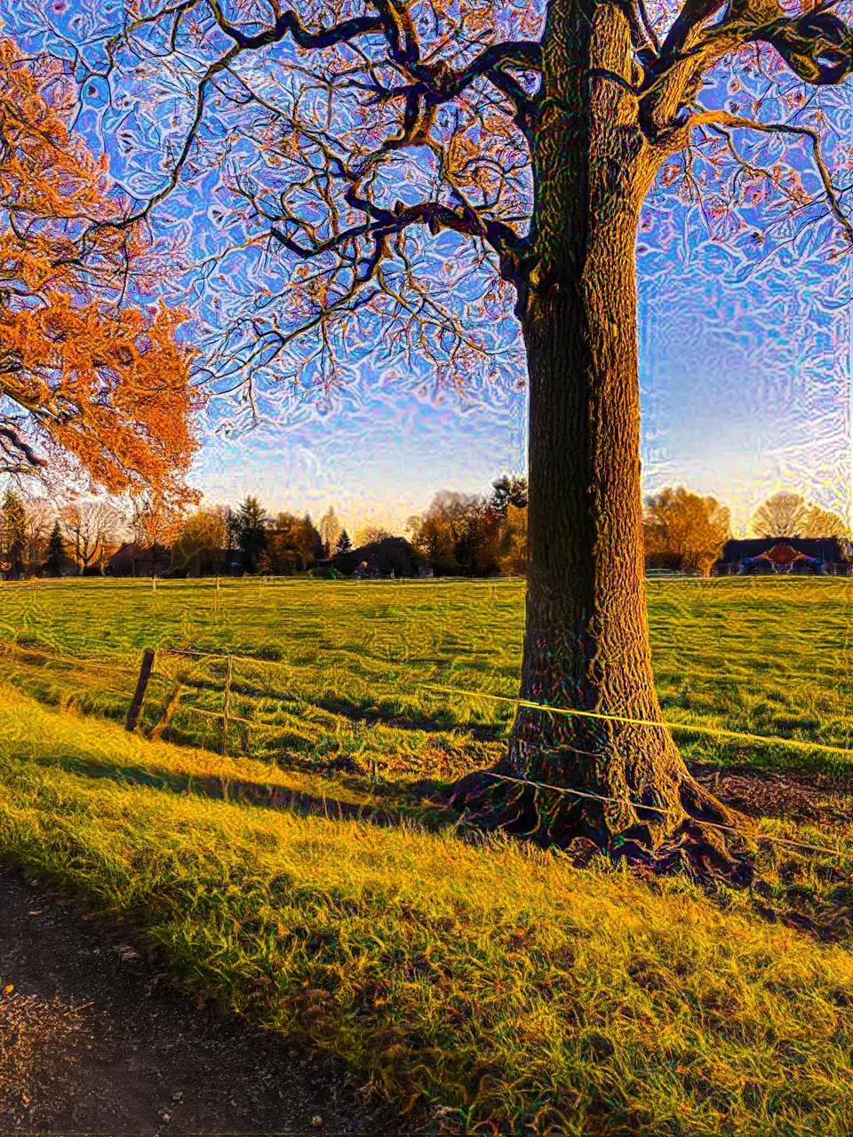 Finally I can see the patterns in nature (LSD replication)