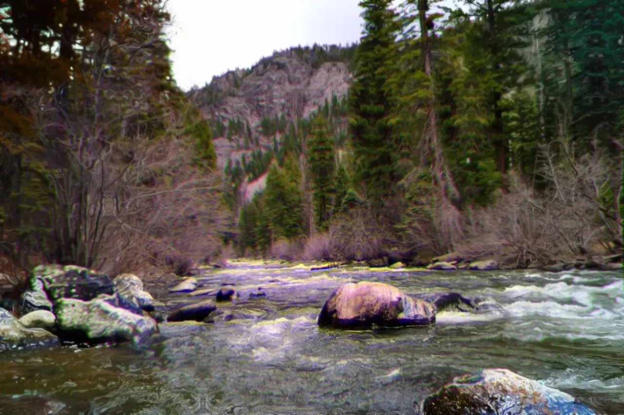 River Trip