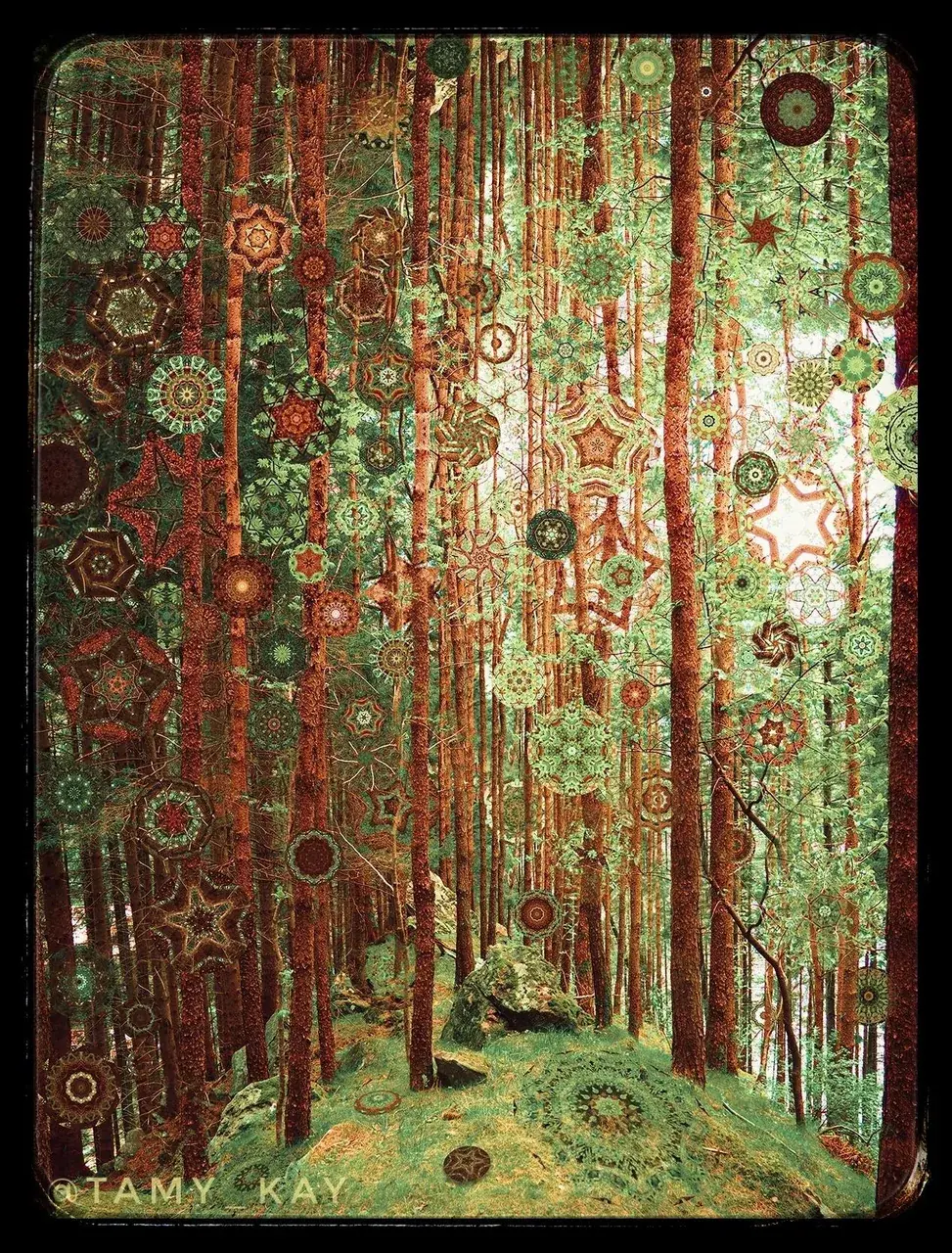 Bosque Verde - Digital collage [OC] My try to bring back LSD visions to my everyday life. Check out the zoom in my Instagram ;)