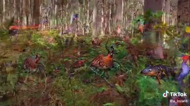 Shrooms replication
