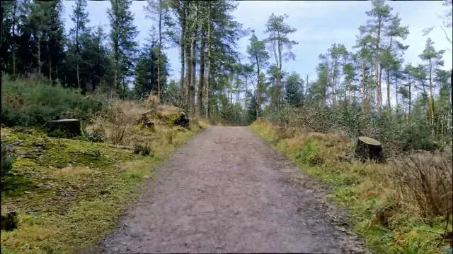 Uphill Struggle ( LSD )