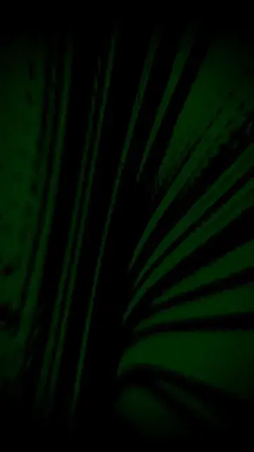 Spaceship - Dissociative Replication [EXTREME FLASHING LIGHTS WARNING]