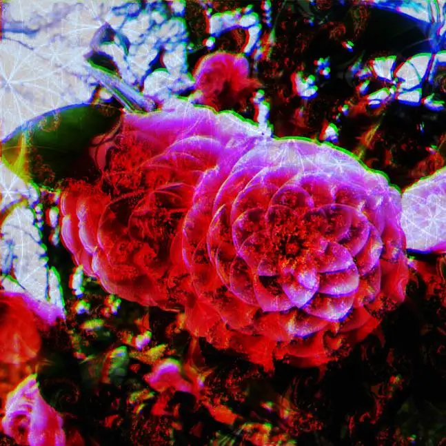 Open eye dmt trip replication! Thanks for the love on the last post. I tried my best to be as accurate as possible but I still cannot do dmt justice :/ have you guys had dmt experiences? What are your interpretations of the experience, let's have a discussion here!