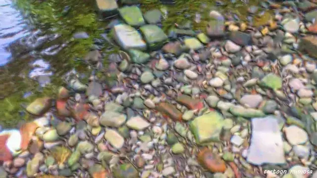 20mg dmt