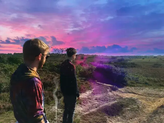 Saw this on the LSD Reddit. I think it doesn't look too bad.