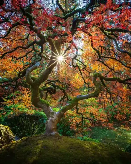 150ug