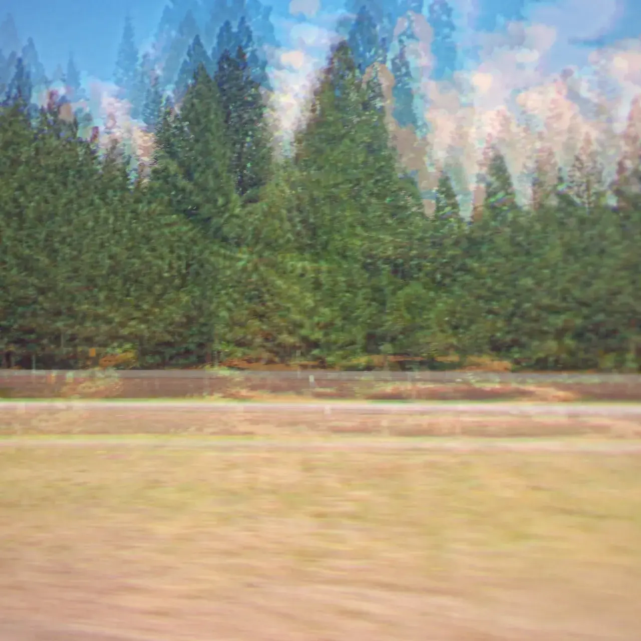 300mg DXM (car ride)