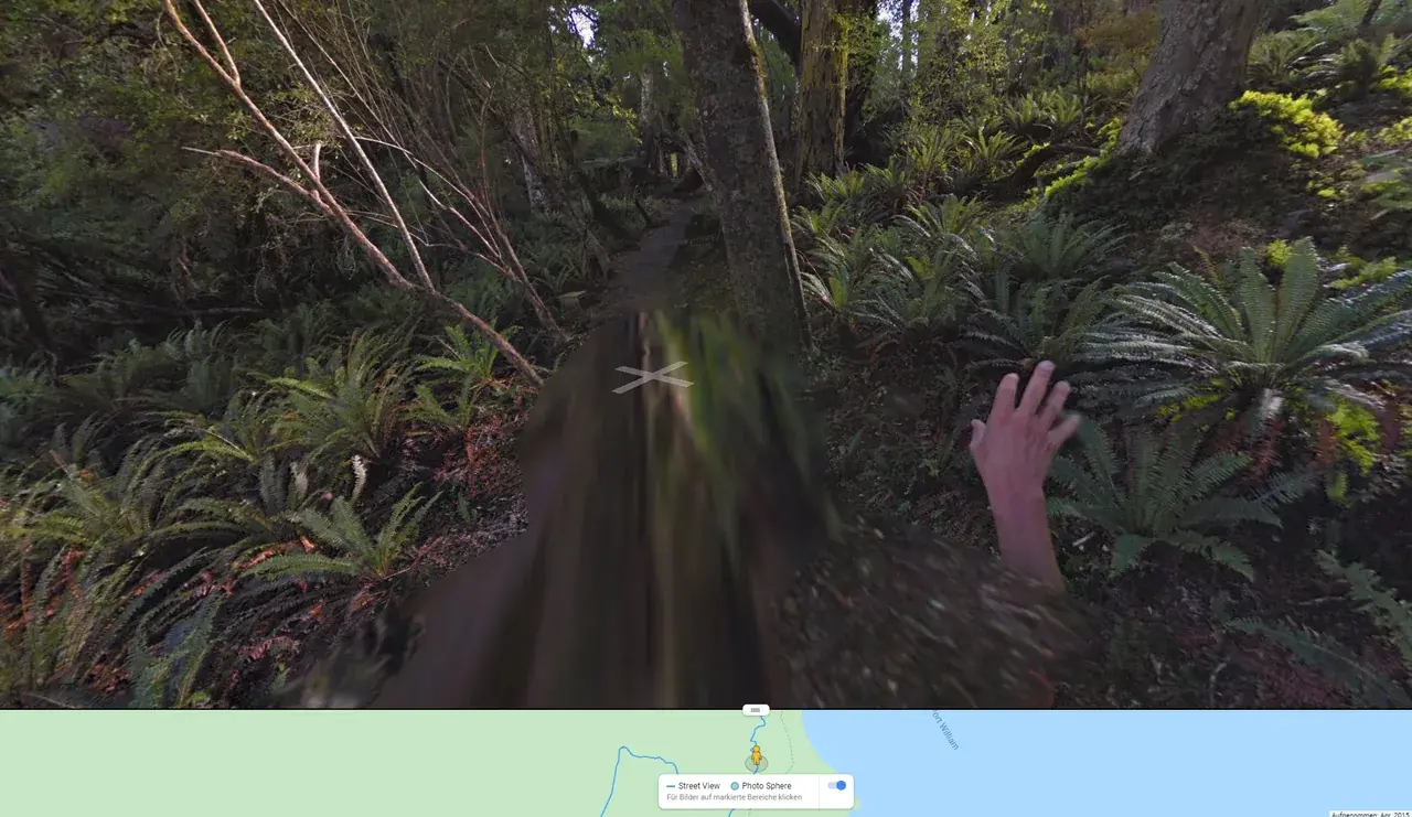 Trying to walk through the woods on deliriants
