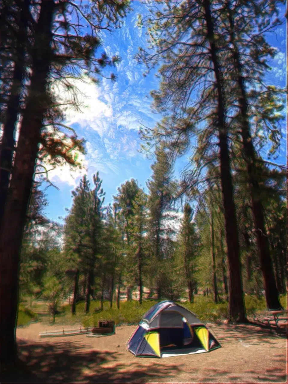MXE + LSD campsite