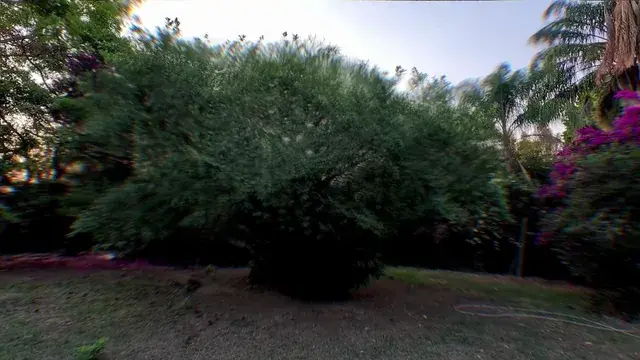 When you start seeing math in nature on acid