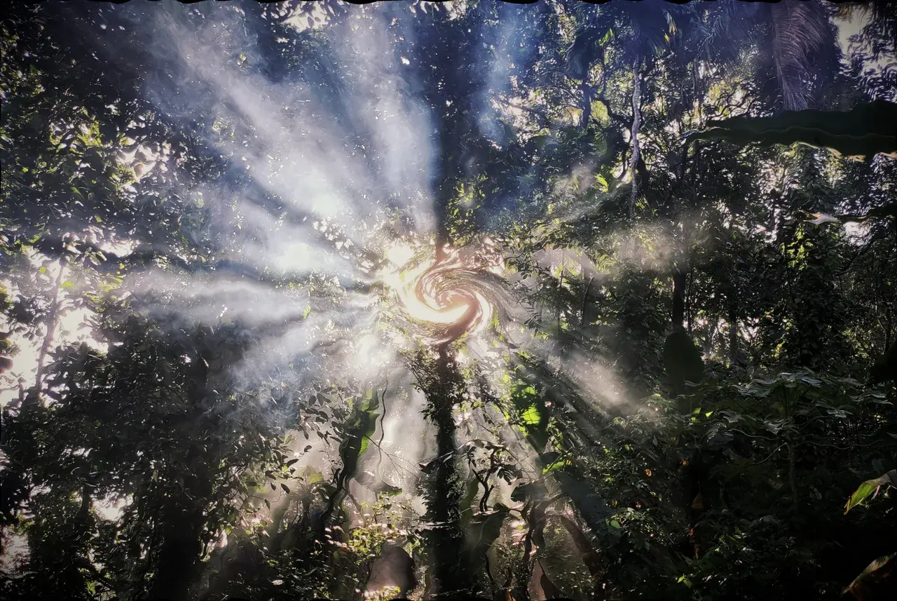 Meeting god on mushrooms