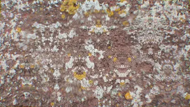 This lichen is going brrr