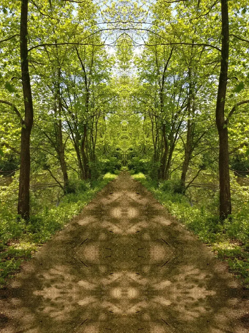I took a walk and made a thing