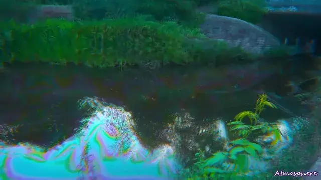 Where am I? (200ug)
