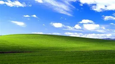 This is a pretty accurate replication of what I saw (or what I would have seen if I was in an open grassy field on a nice day) after taking a little bit too much Prednisone. Credit to Charles O'Rear.