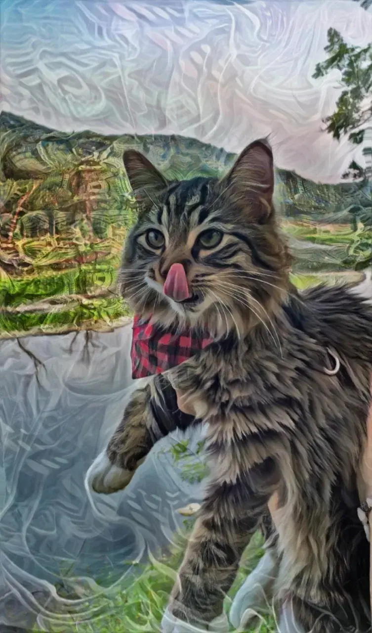 Peaking with Zemi [OC]