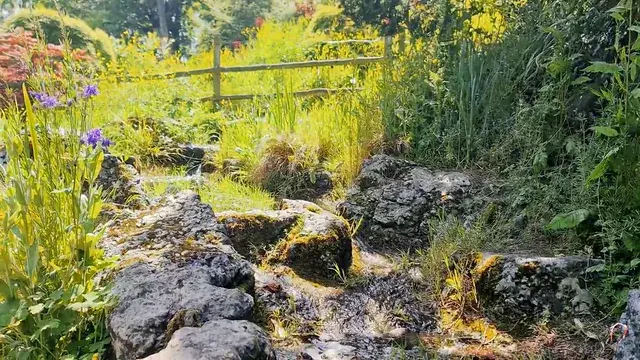 Waterworks ( LSD )