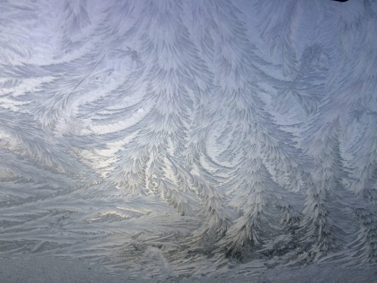 Frosted windshield looks like snowy scene with evergreens and the rising sun on the back while tripping hard.