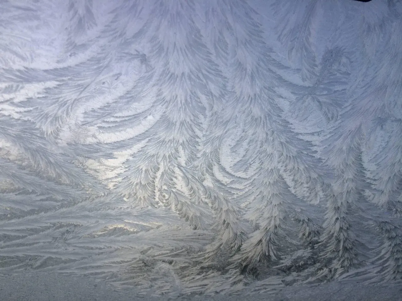 Frosted windshield looks like snowy scene with evergreens and the rising sun on the back while tripping hard.