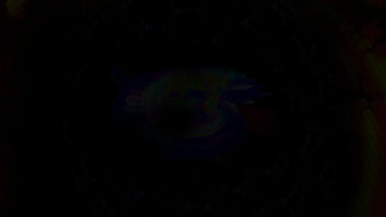 LSD + 4-HO-MET CEVs