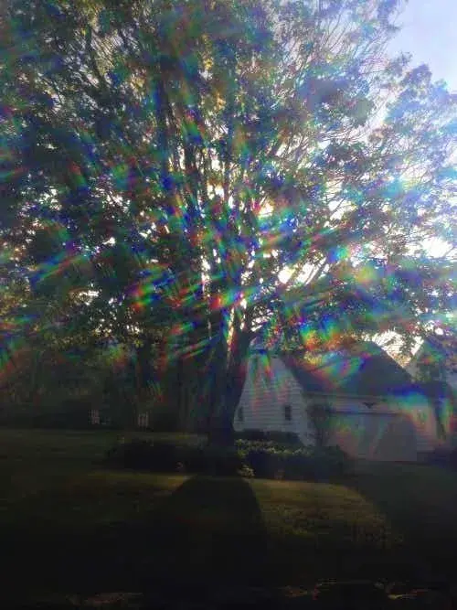 Diffraction Shades