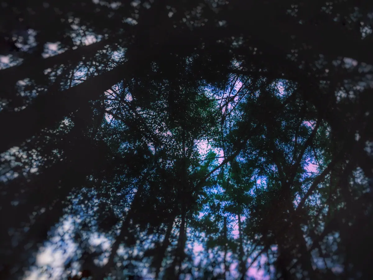 I've never done any psychedelics but I decided to try my hand at replications after finding this sub. Thoughts?