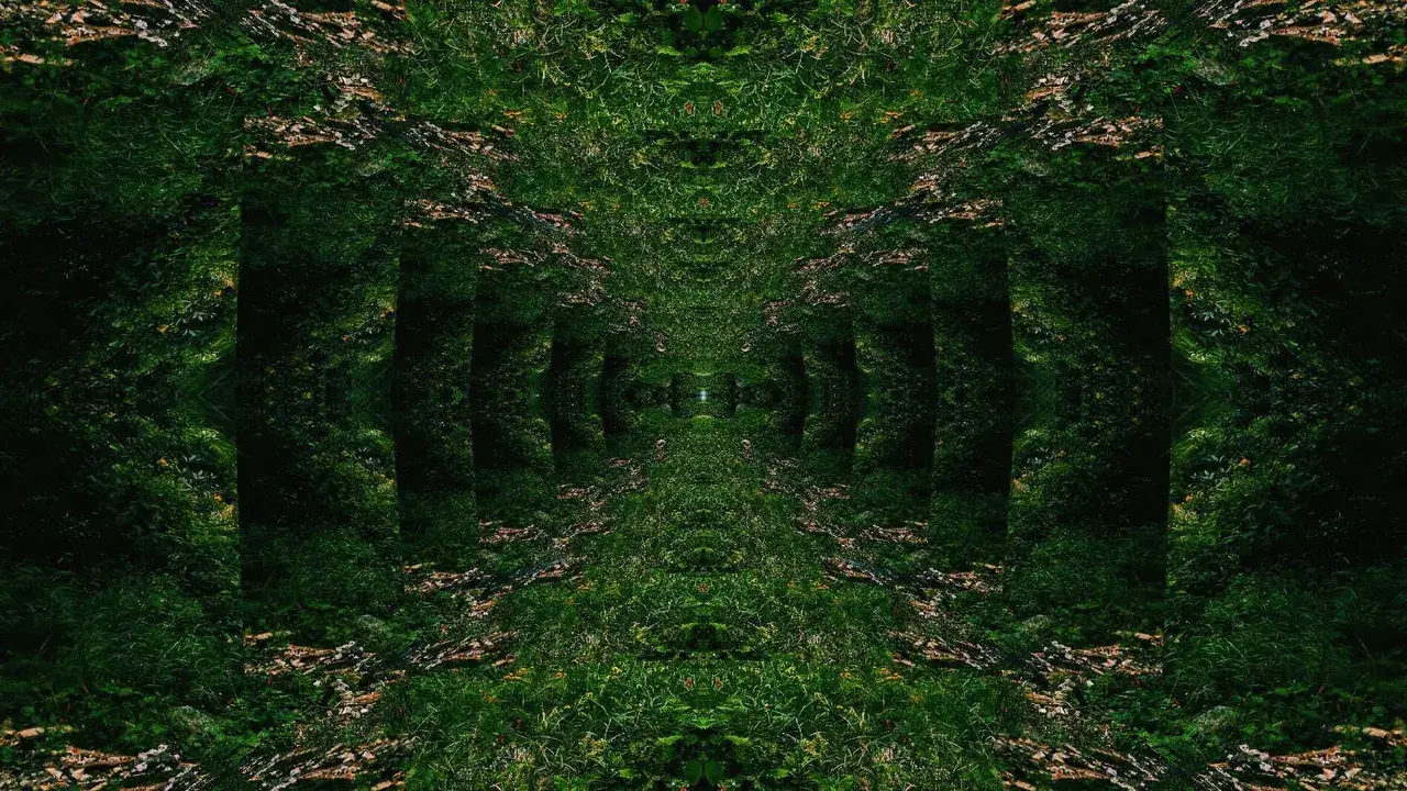 Recursion and symmetrical texture repetition