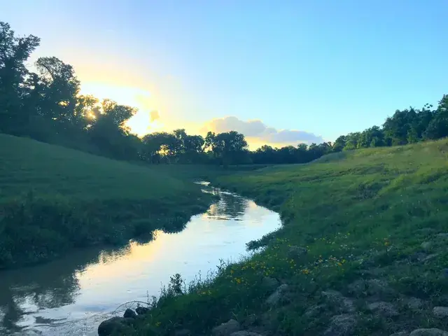 I love seeing all the replications using this app :,) *REPOST [OC] Saturation increase*