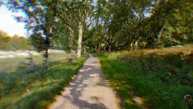I'll be alright on my ow- (LSD)