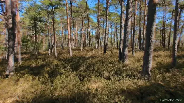 That moment when nature starts staring back at you, on acid