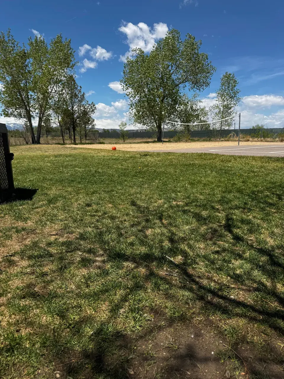 100ug