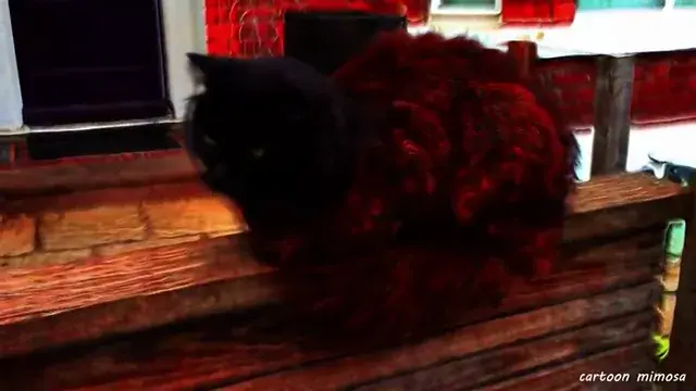 It’s like I can feel and see this cats emotions…