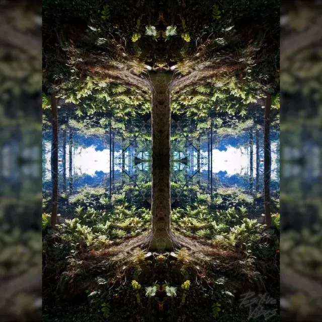 Posting here again since you liked my last one :) Here I tried to narrate a mushroom trip in the woods through an experimental electronic music. Full video in comments