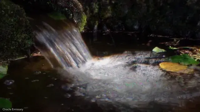 Funky funky water 🥴🥴