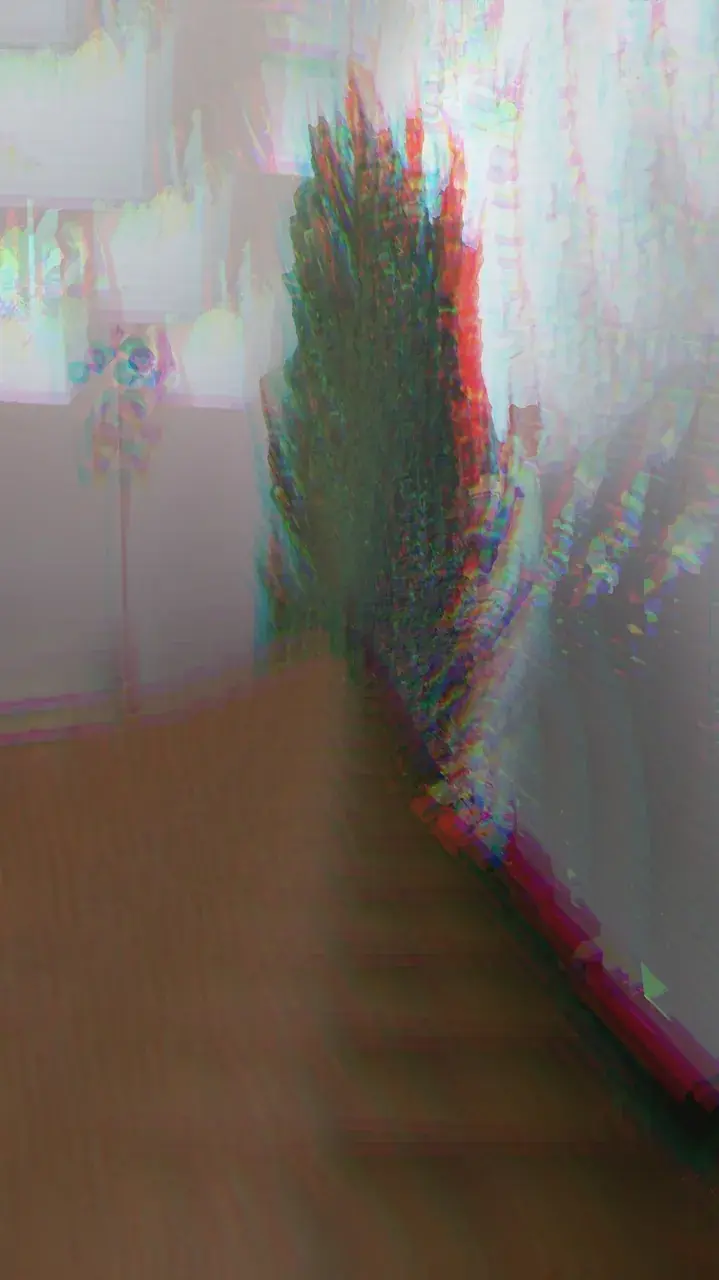 Symetrical visions