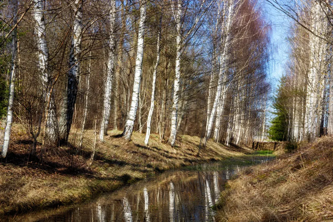 Flowing Imagery. Recalling it from source.