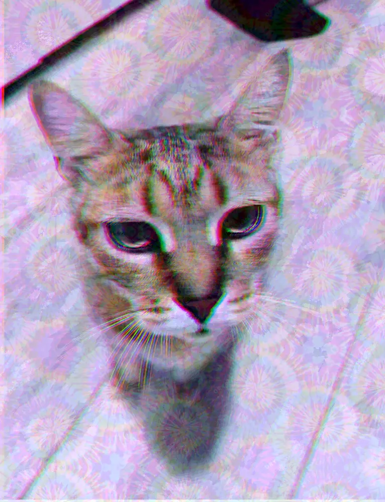 How i saw my Cat on 200ug+Weed