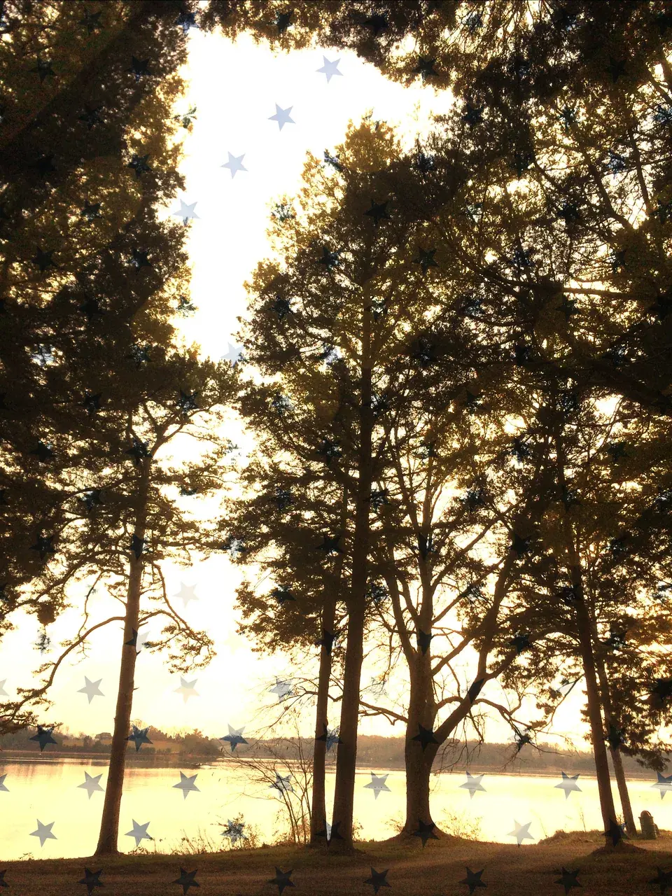 Couple of quick pictures from the lake.