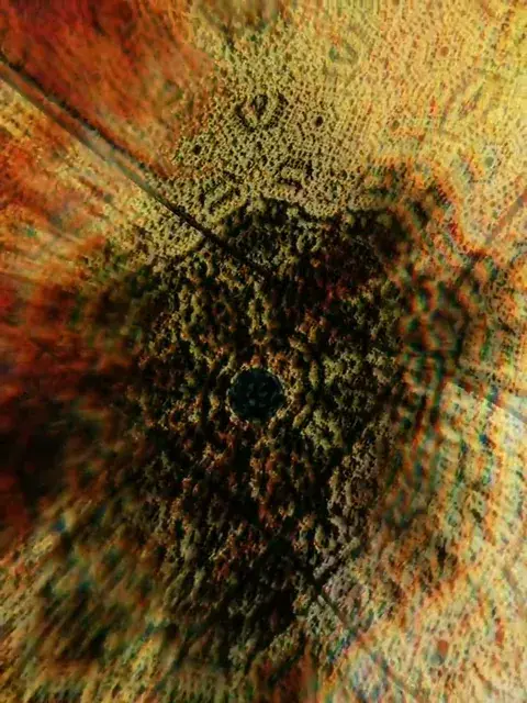DMT